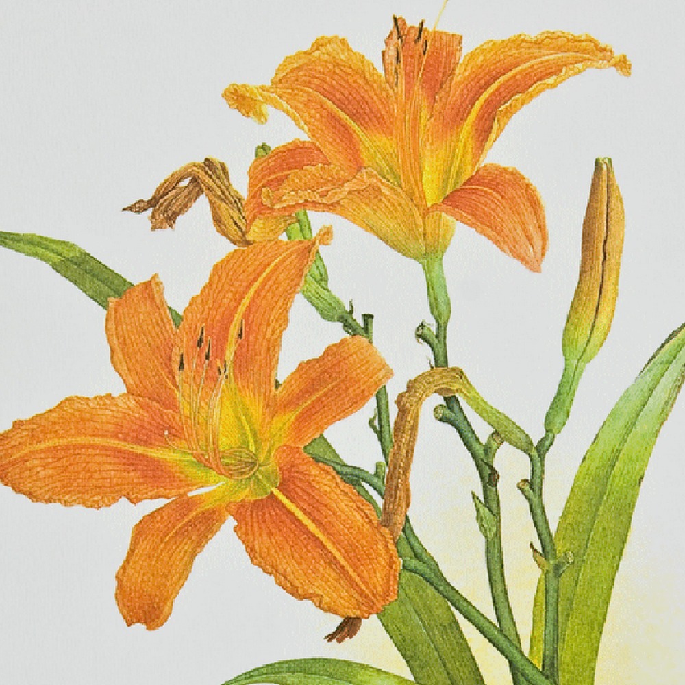 Meet your Posher, Polly